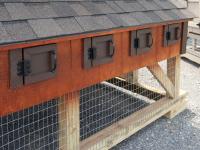 Exterior Doors to Nesting Boxes on 6x8 Chicken Condo Style Chicken Coop From Pine Creek Structures